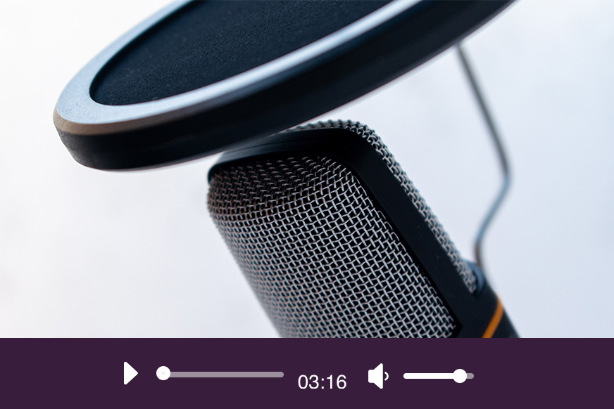 Listen to the preface of The Bellwether Effect