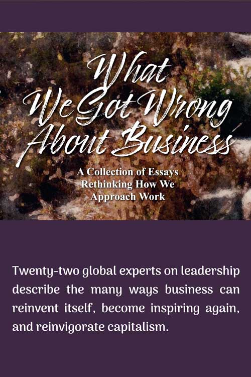 Cover of the book "What We Got Wrong About Business"